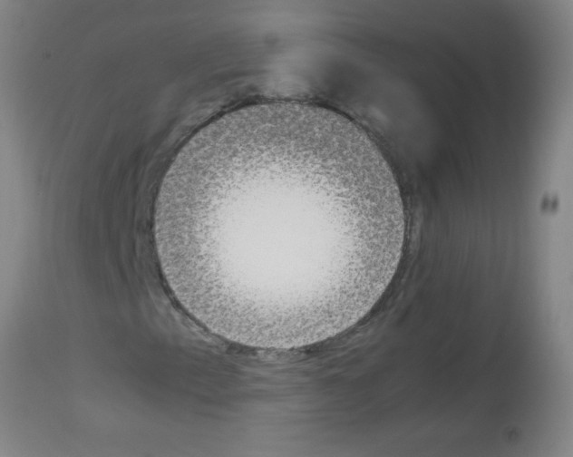 X0000113171153200910161301