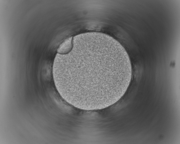 X0000113171154200910161301
