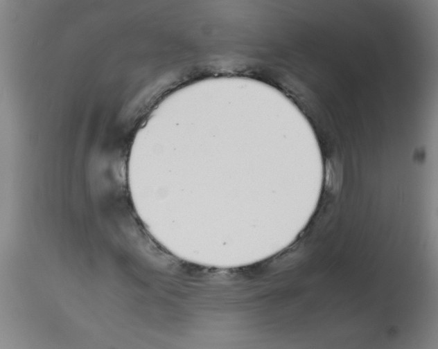 X0000113171155200910161301
