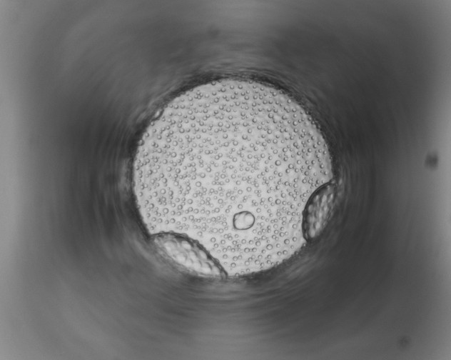 X0000113171156200910161301