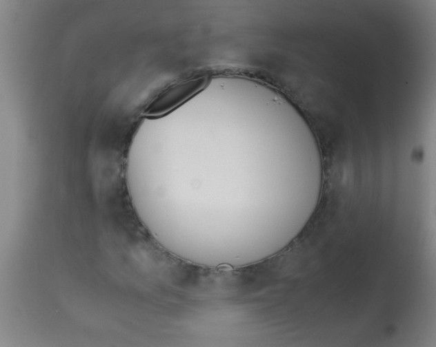 X0000113171157200910161301