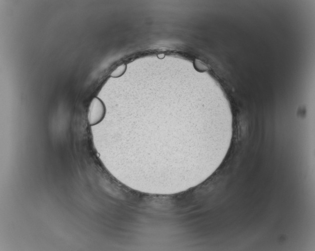 X0000113171158200910161301