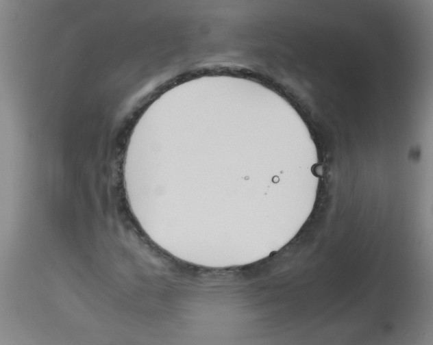 X0000113171159200910161301