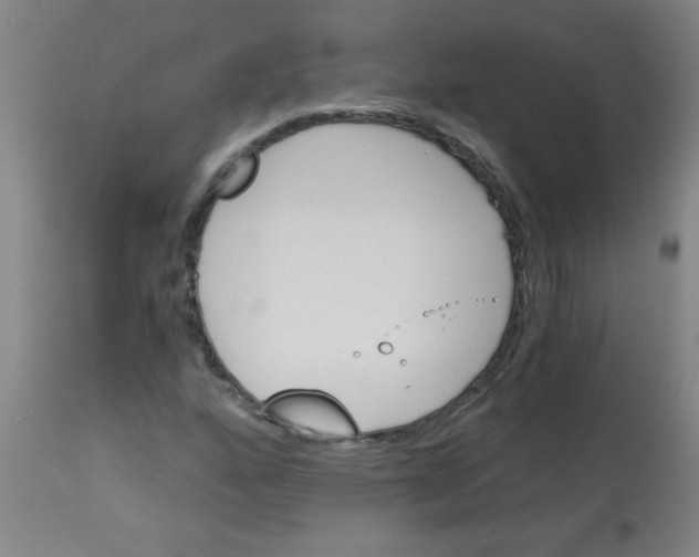 X0000113171160200910161301