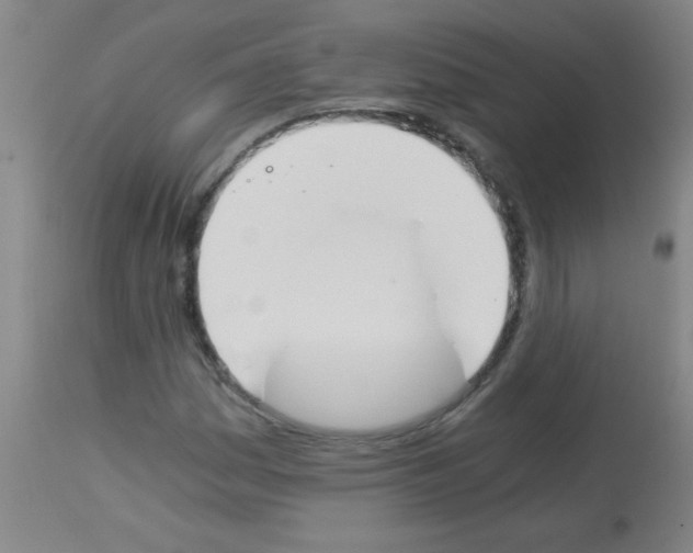 X0000113171161200910161301