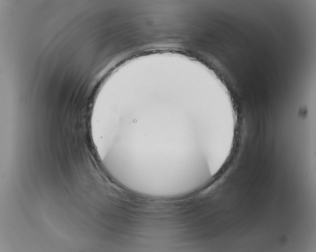X0000113171162200910161301