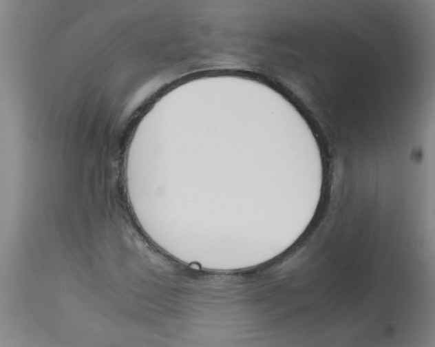 X0000113171163200910161301