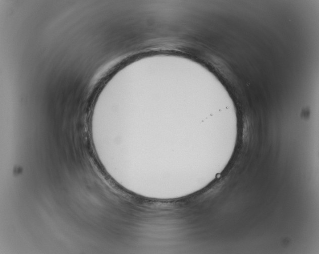 X0000113171164200910161301