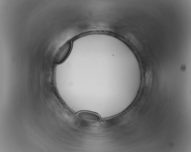 X0000113171165200910161301