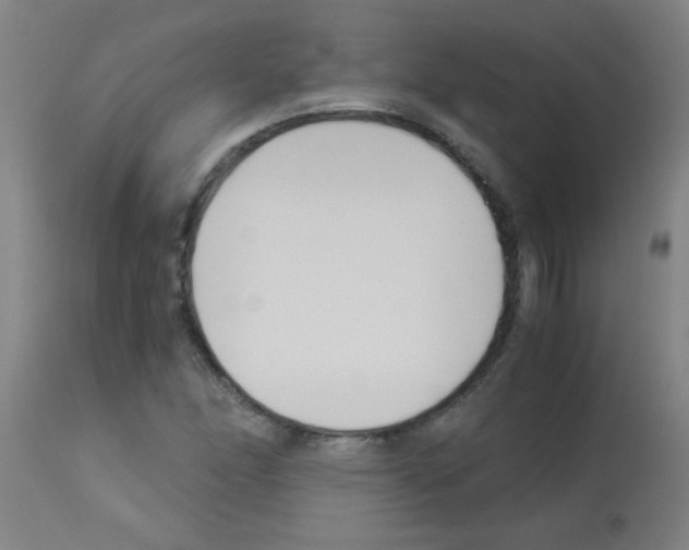 X0000113171166200910161301