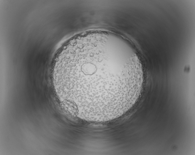 X0000113171168200910161301