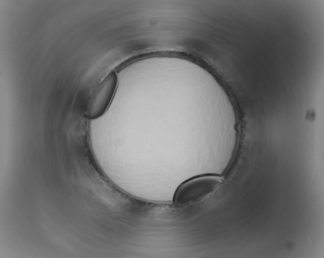 X0000113171169200910161301