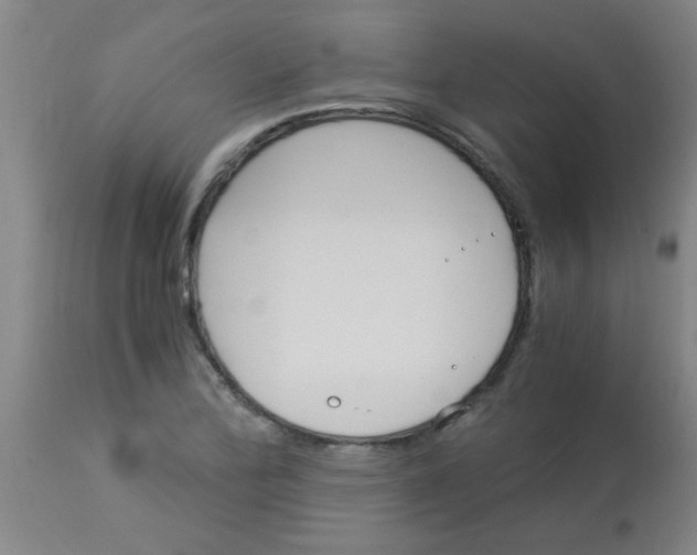 X0000113171172200910161300