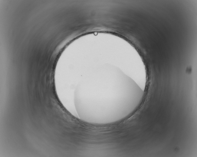 X0000113171173200910161300