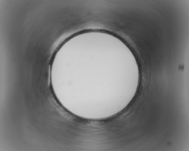 X0000113171175200910161300