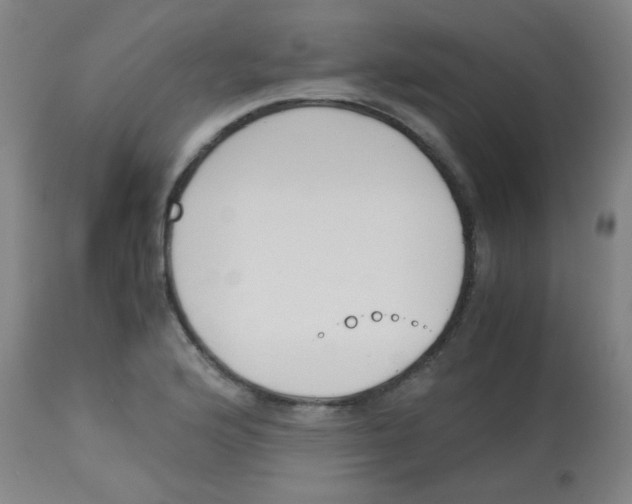 X0000113171176200910161300