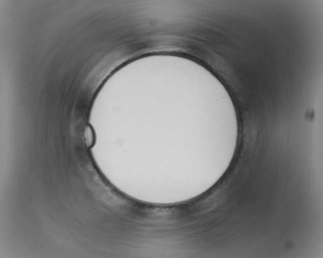 X0000113171177200910161300