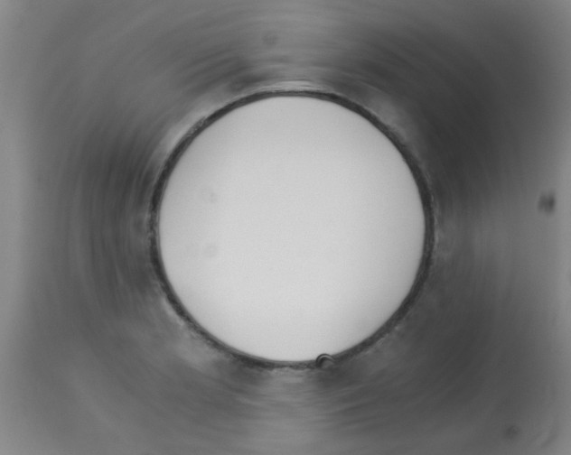 X0000113171181200910161300