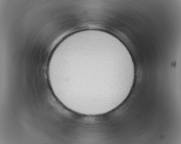 X0000113171182200910161300