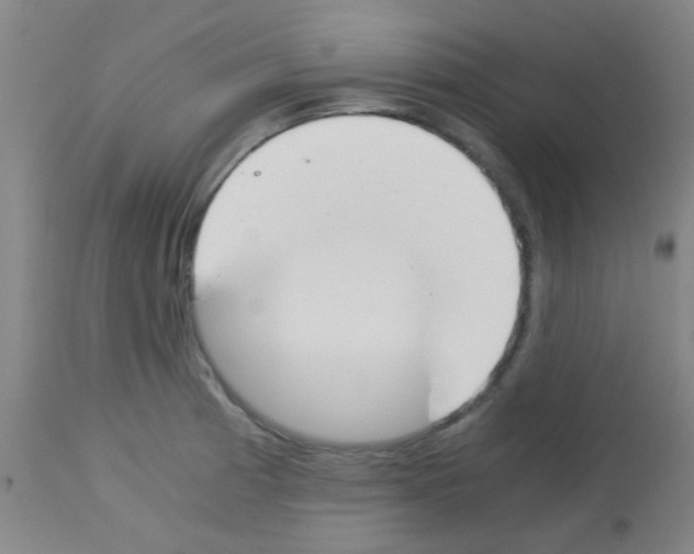 X0000113171185200910161300