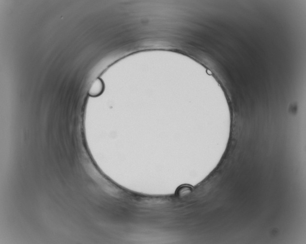 X0000113171187200910161300