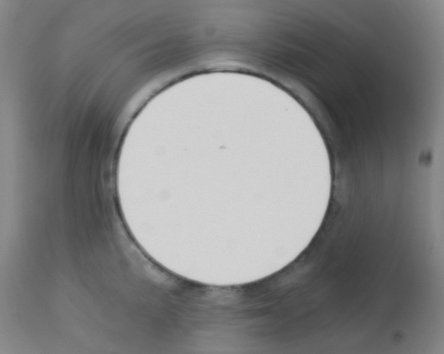 X0000113171191200910161300