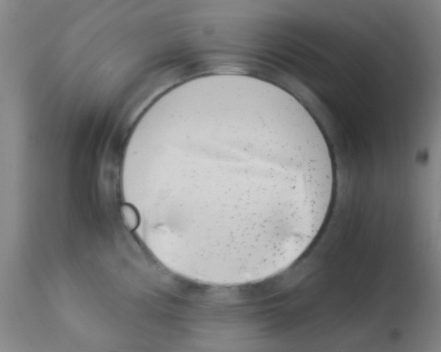 X0000113171194200910161300