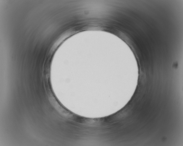 X0000113171195200910161300