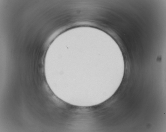 X0000113171199200910161300