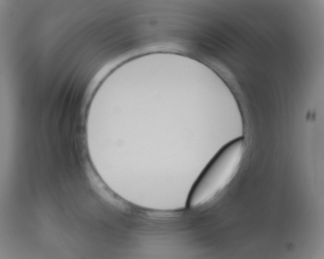 X0000113171200200910161300
