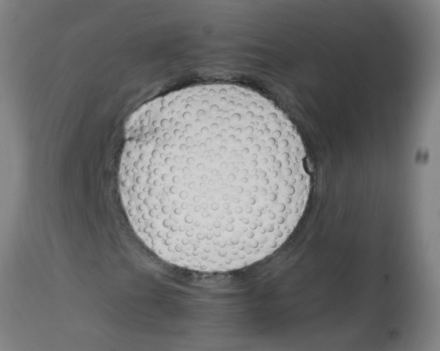 X0000113171201200910161259