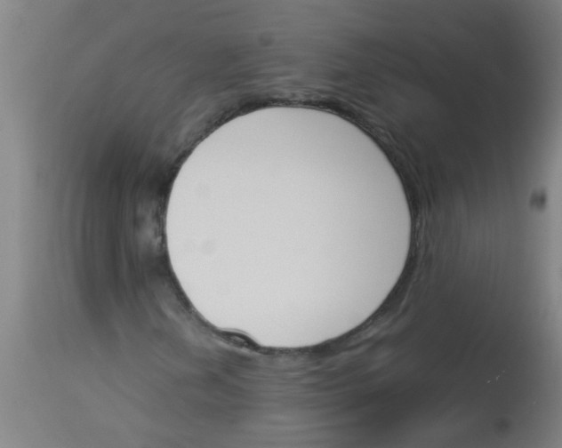 X0000113171202200910161259