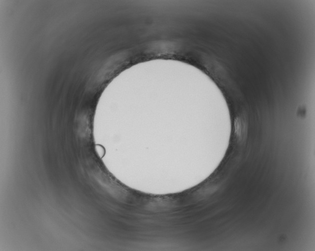 X0000113171203200910161259