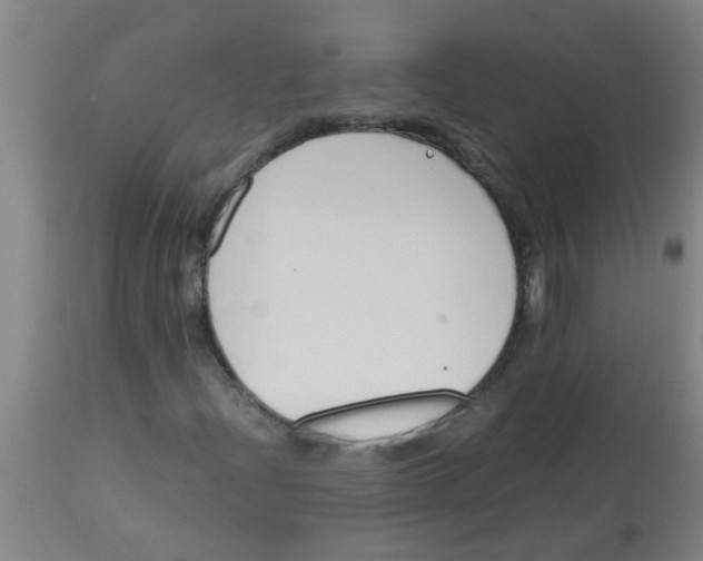 X0000113171204200910161259
