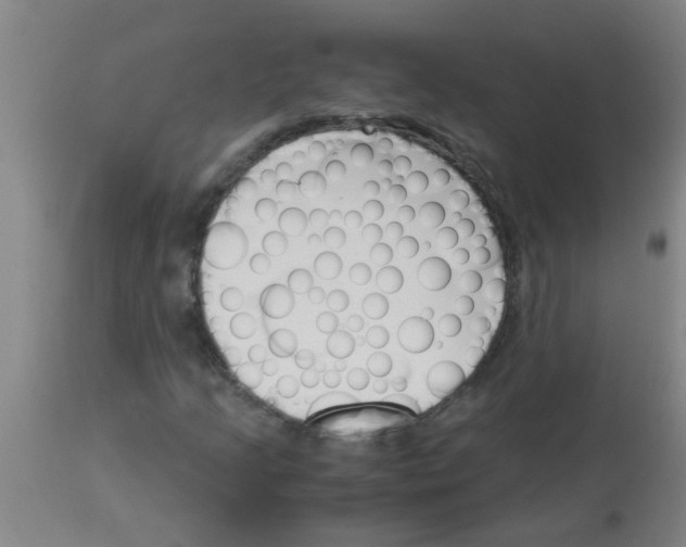 X0000113171205200910161259