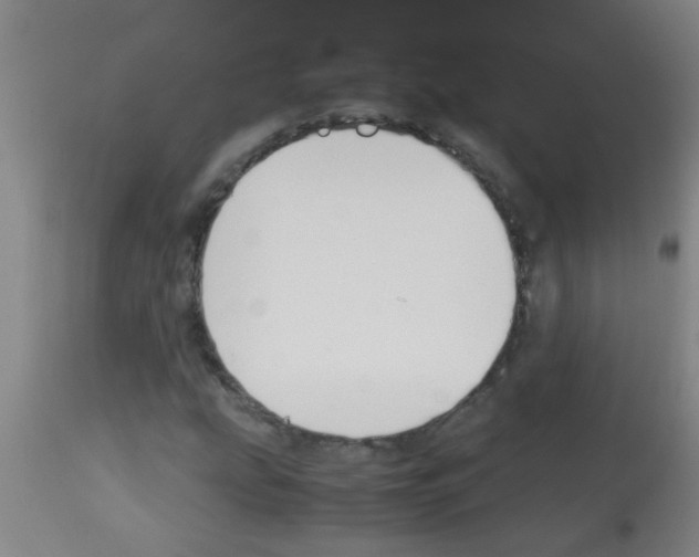 X0000113171207200910161300
