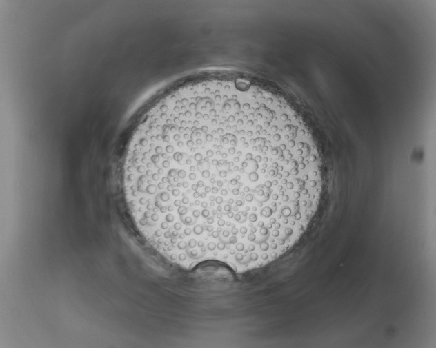 X0000113171208200910161300