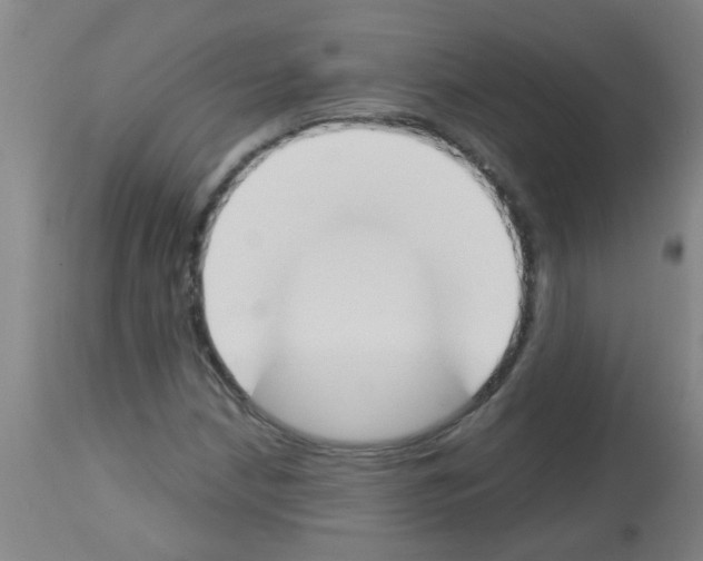 X0000113171210200910161300