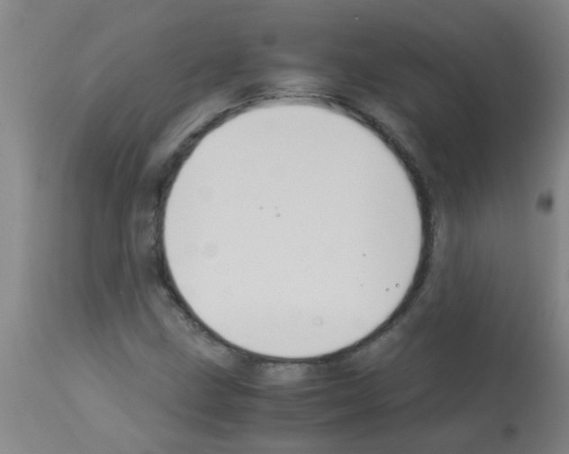 X0000113171211200910161300