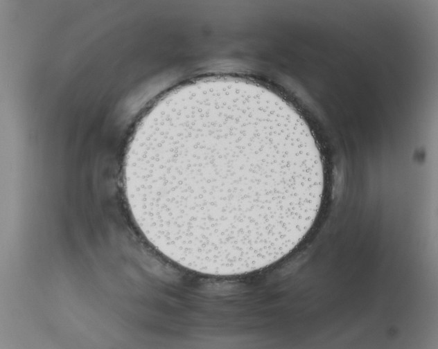 X0000113171213200910161300