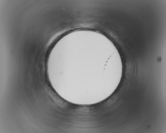 X0000113171214200910161300