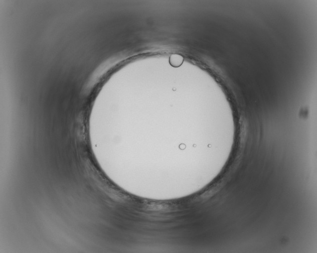 X0000113171215200910161300