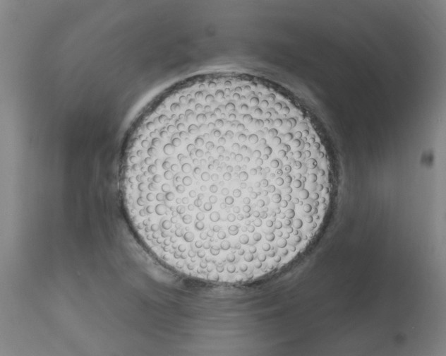 X0000113171216200910161300
