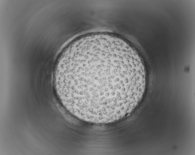 X0000113171220200910161300