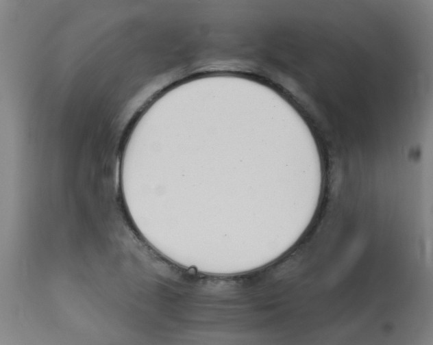 X0000113171221200910161300