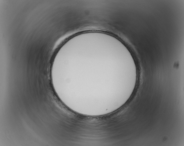 X0000113171222200910161300