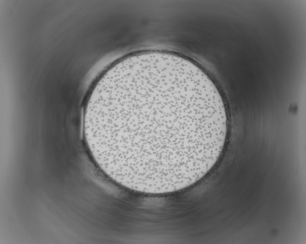 X0000113171223200910161300