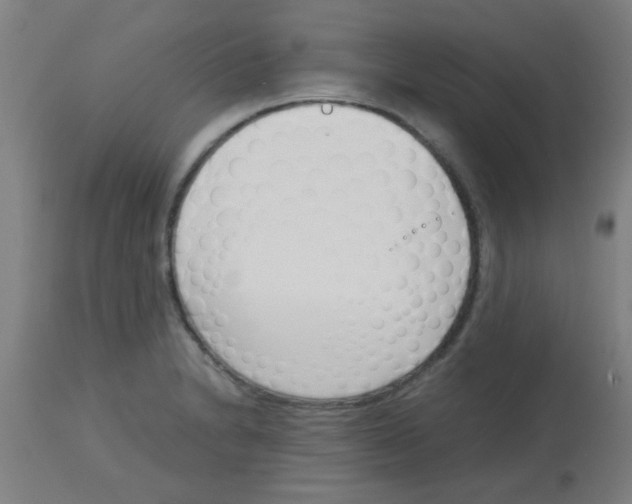 X0000113171230200910161300