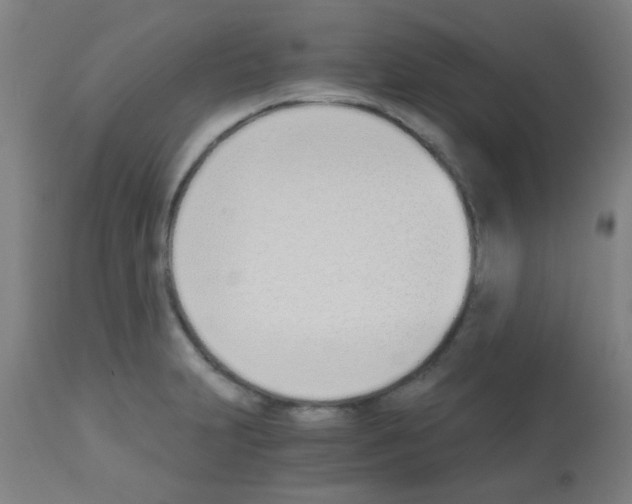 X0000113171231200910161300