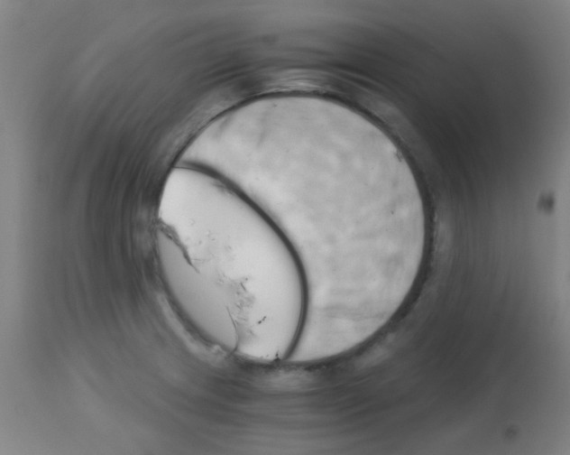 X0000113171233200910161300